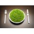 CHLORELLA